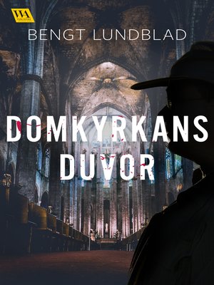 cover image of Domkyrkans duvor